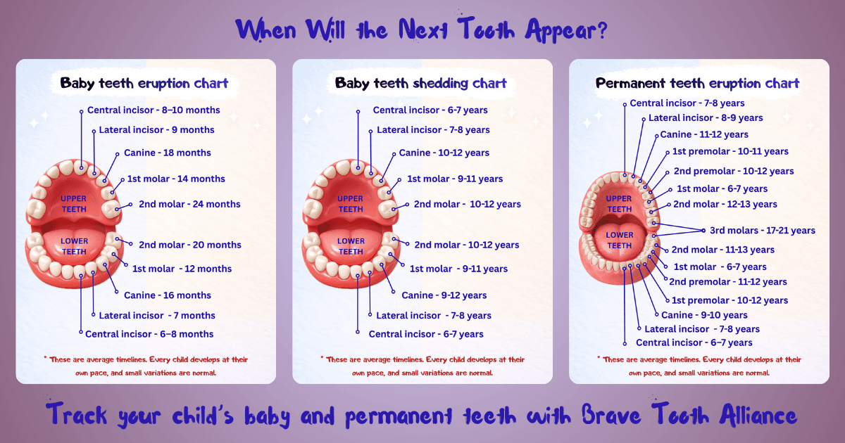 Why You Should Track Your Child’s Tooth Eruption